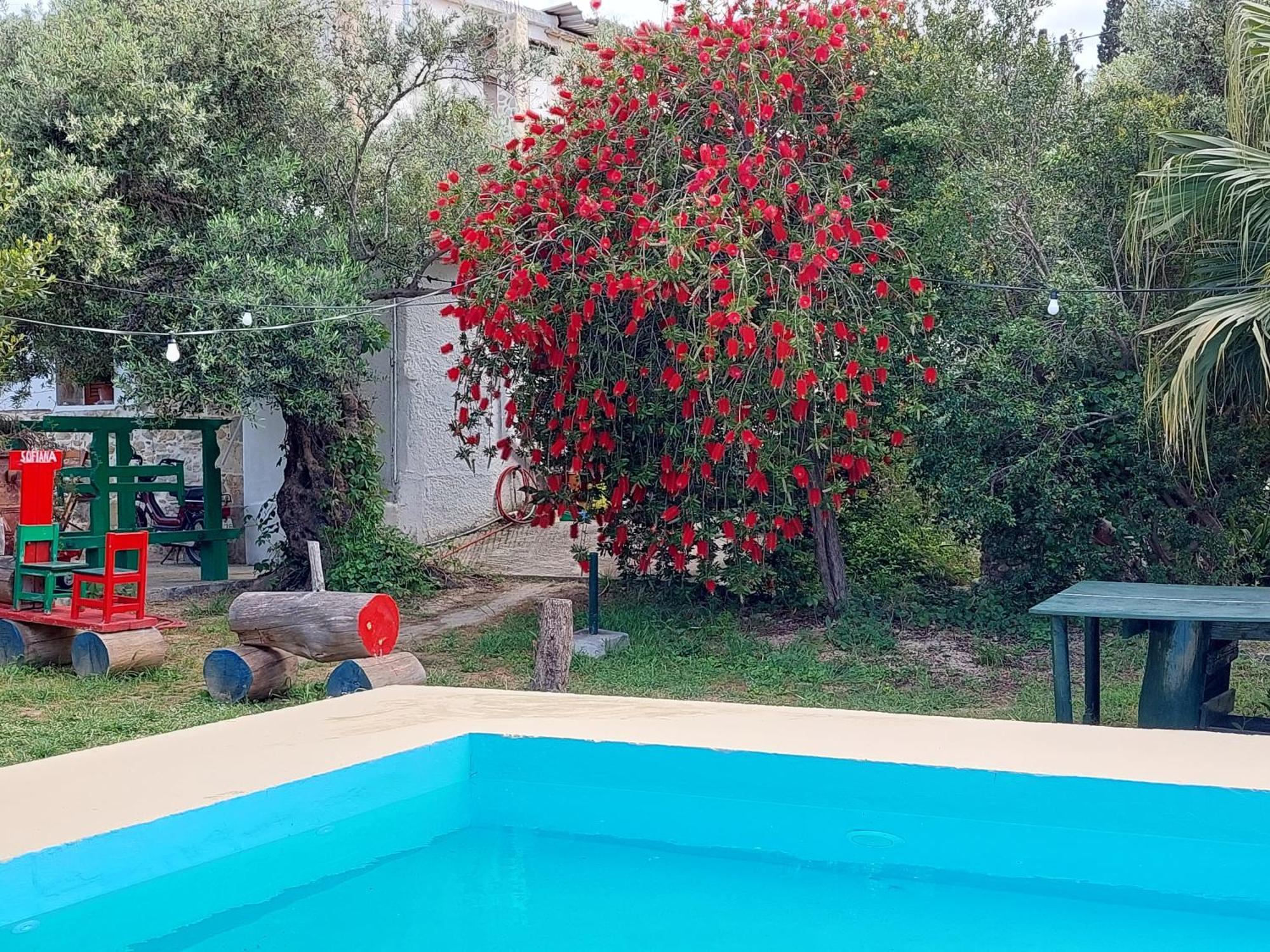 Apartament Sofiana'S Garden Retreat With Private Pool Dhrapaniás Pokój zdjęcie